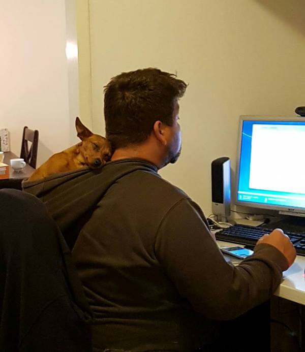 Preparazione per Kickstarter