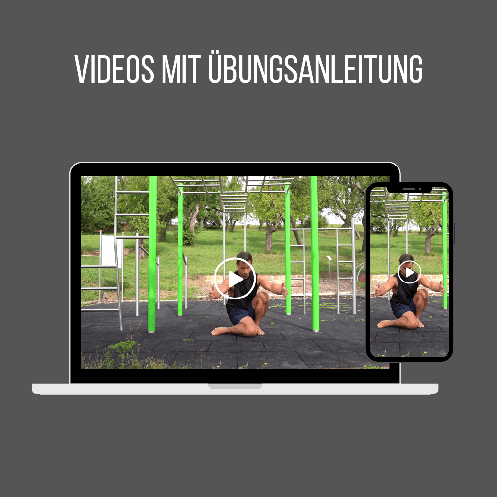 Pull-up Training Plan: The path to your first pull-up in 10 weeks [English PDF].